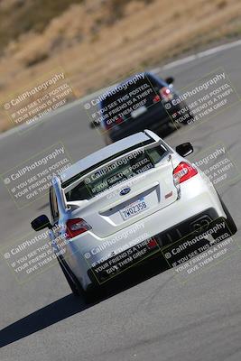 media/Nov-19-2023-Extreme Speed (Sun) [[bd0eec5490]]/Green/Wall Paper Photos/